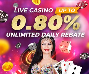 Casino 0.8% Unlimited Daily Rebate